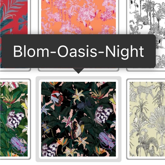 LOBO ROSA Set blouse and pants - Picture 5 of 5